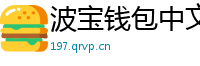 波宝钱包中文版下载